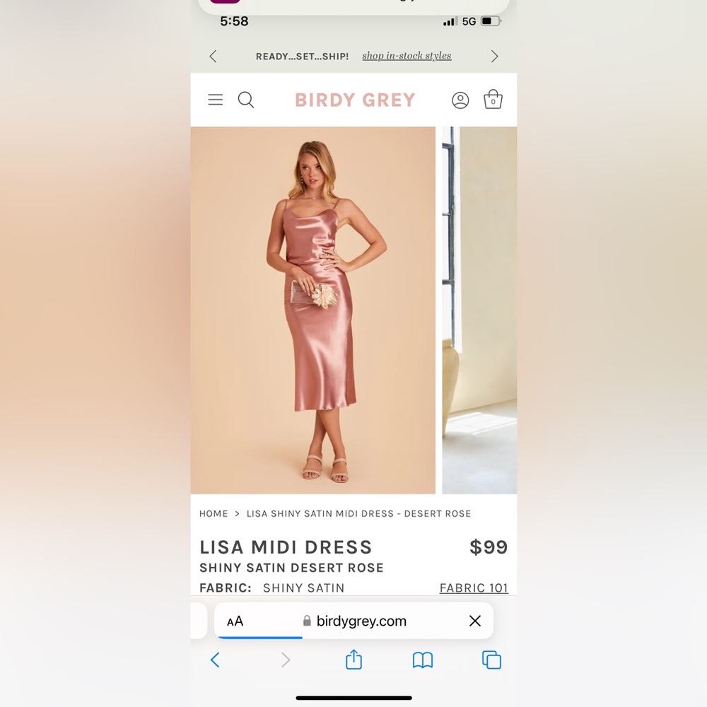 Birdy Grey Size Small Satin Pink midi dress